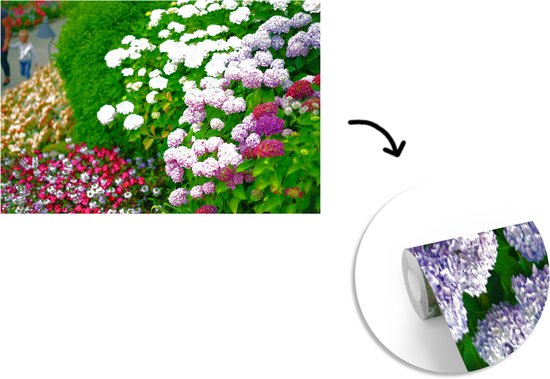 Behang - Fotobehang Levendige hortensia bloemen - Breedte 390 cm x hoogte 260 cm