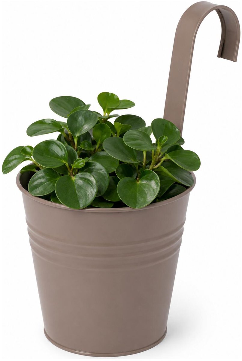 Progarden Bloempotje met haak - plantenbak zink met ophanghaak - bruin - 20 x 13 x 26 cm - ophangbaar - Balkon/schutting plantenpot