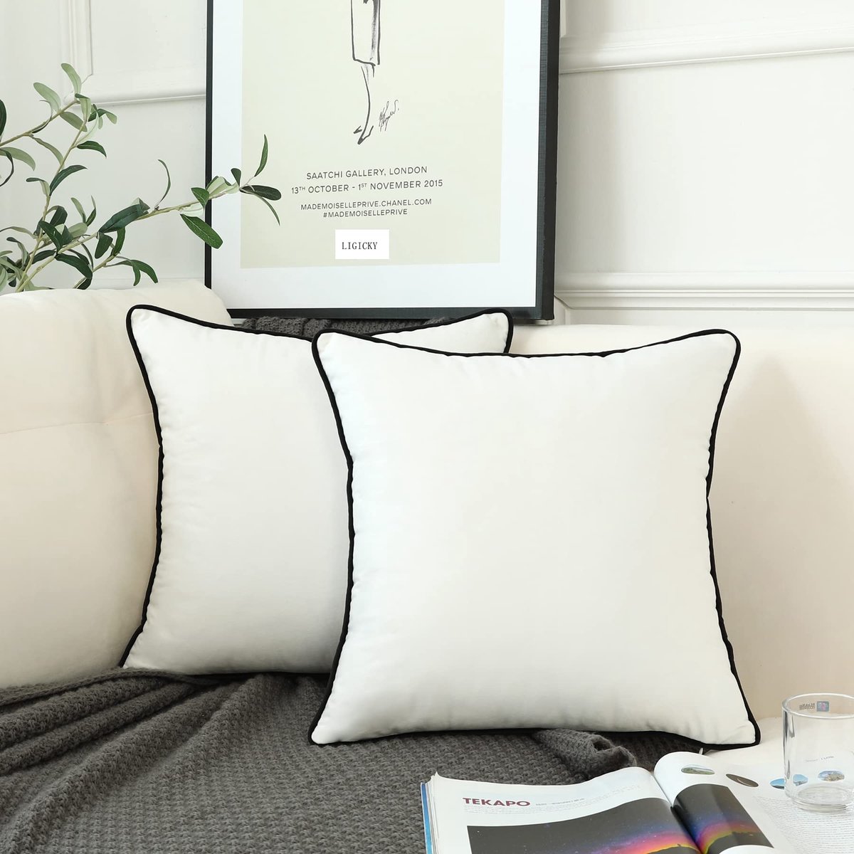 Set van 2 luxe decoratieve kussenhoezen, fluweel, zachte kussenhoezen, sierkussenhoezen, eenvoudige vierkante kussenslopen, decoratieve kussens, bankkussens voor woonkamer, bank, slaapkamer,