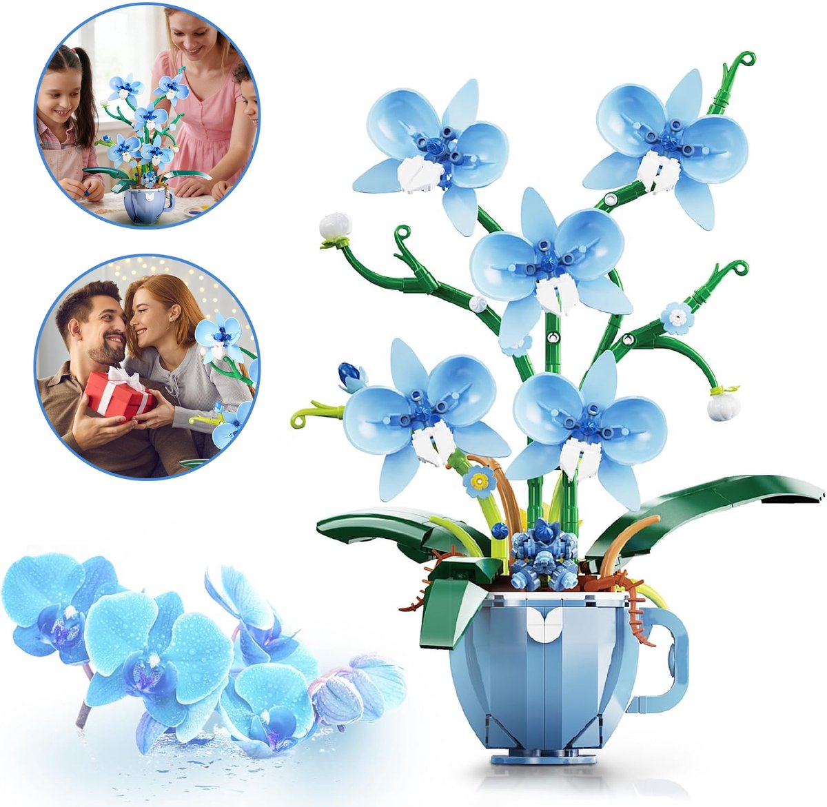 Bouwset Met Blauwe Orchideeën - Orchideeën Plant Bouwset Met Vaas - Koffiebeker Orchidee Botanische Collectie Plantenbouwset