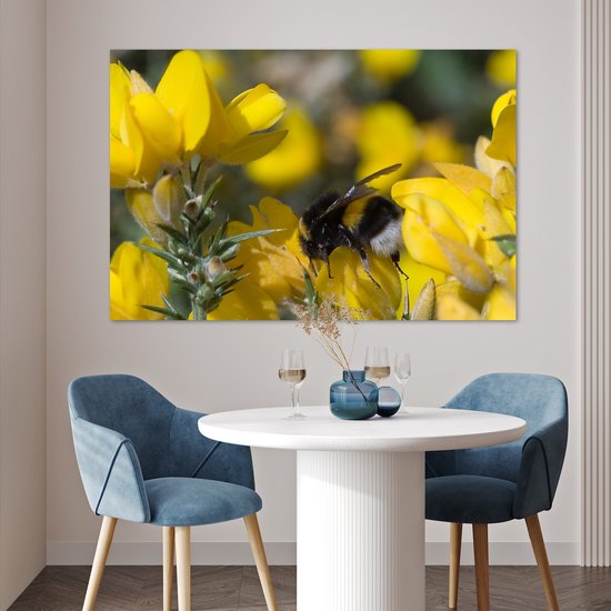 Abeille sur une fleur de balai 120x80 cm