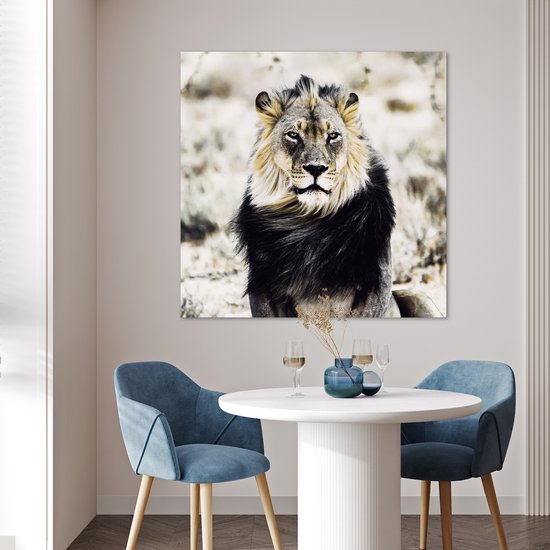 Affiche Animaux sauvages - Lion - Zwart - 100x100 cm XXL