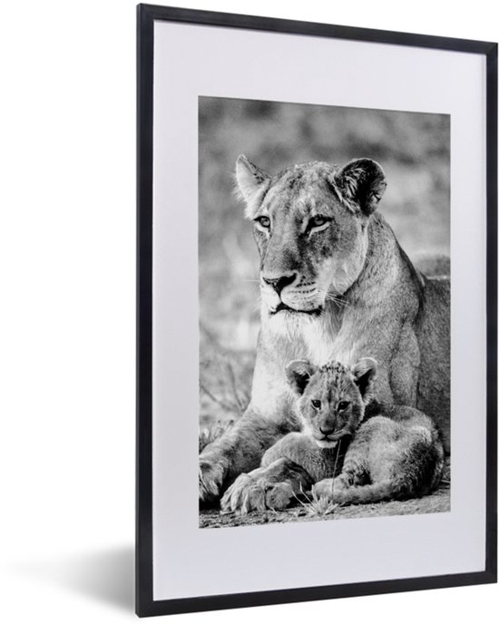 Poster in lijst - Fotolijst 40x60 cm - Posters - Leeuwin - Leeuw - Welp - Posterlijst zwart - Decoratie - Wanddecoratie woonkamer - Muurdecoratie slaapkamer