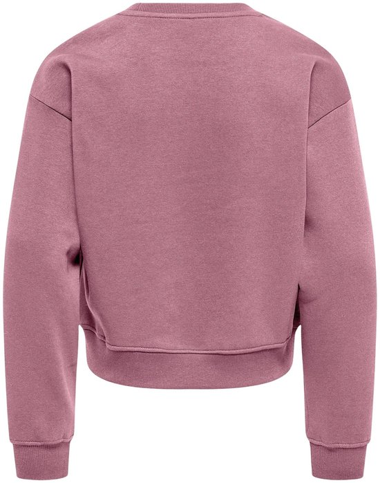 Achterkant van een roze sweater met lange mouwen.