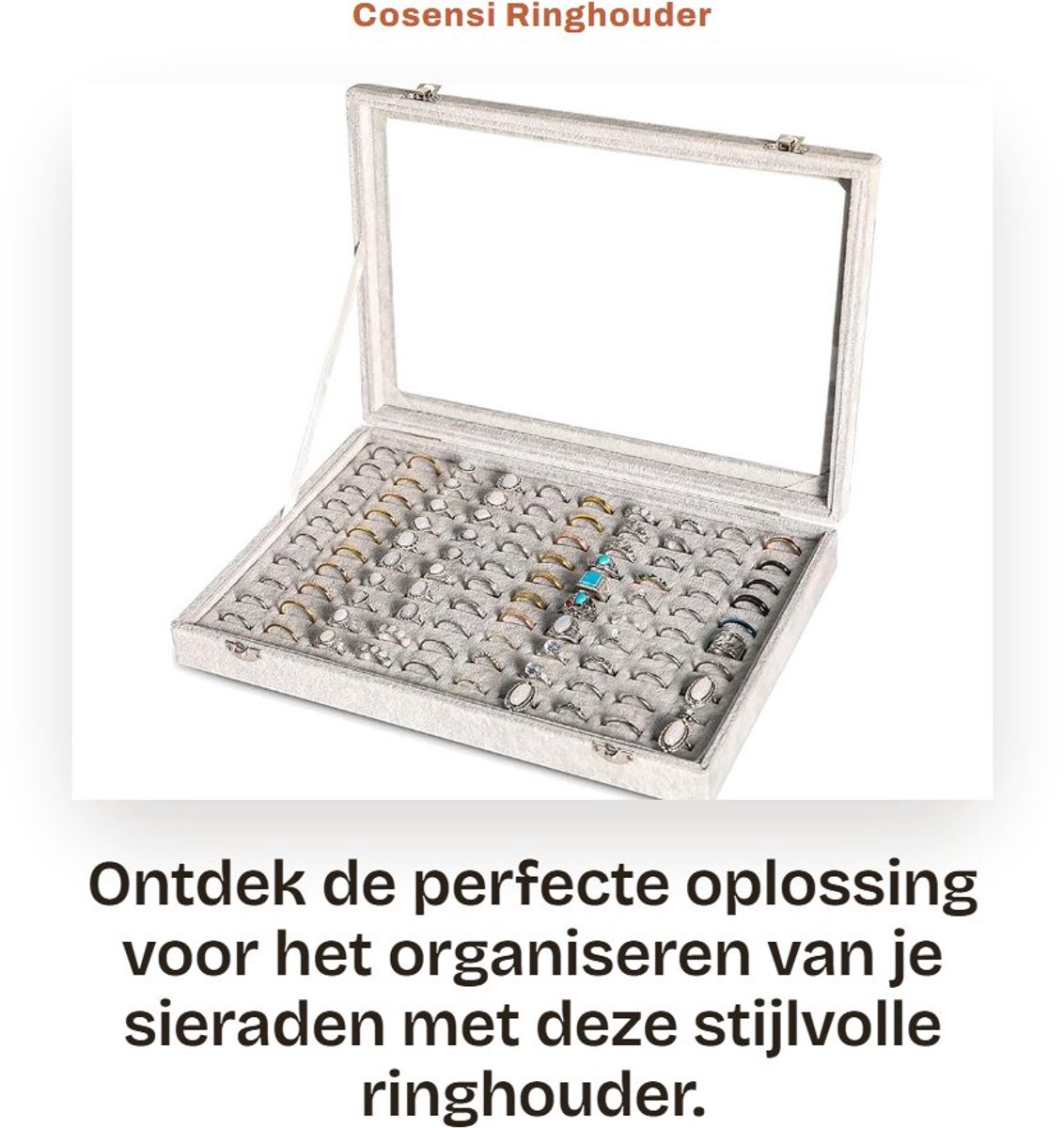 Dailygoods- Ringhouder met 100 vakken - Sieradenhouder - Opbergdoos - Transparante deksel - Velours bekleding - Bescherming tegen stof - Sieradenopberger