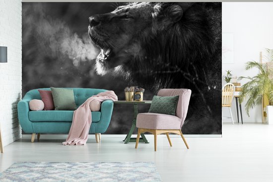 Papier peint Papier peint photo en vinyle - Lion rugissant largeur 390 cm x hauteur 260 cm - Tirage photo sur papier peint (disponible en 7 tailles)