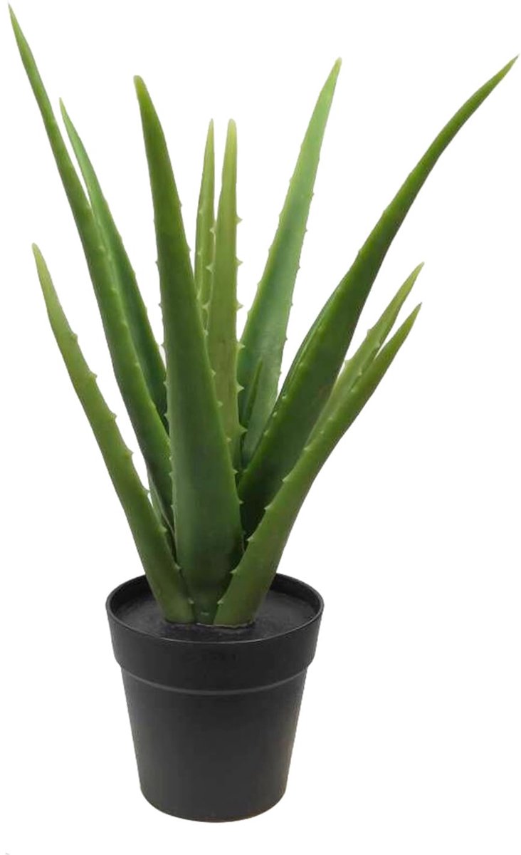 Aloë Vera plant, kunstplant, kunstboom, kunstplant, decoratie, in zwarte pot, zeer realistisch, groen (35 cm - MN-KP-2217)