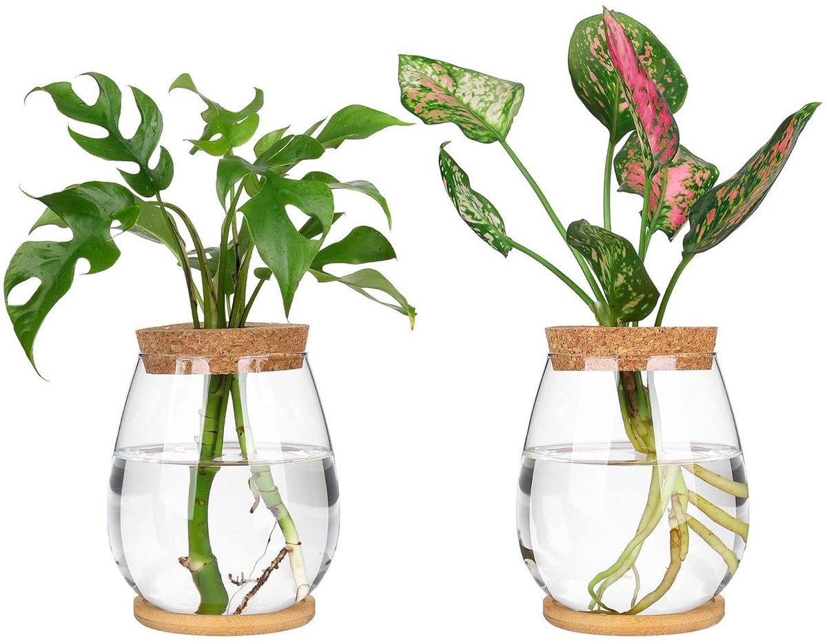 Lot de 2 Hydroponic Plant Growing Station Glass Vase for Water Plants Flower Pots Tulips Flower Vase with Stand Flower - ShopVlot