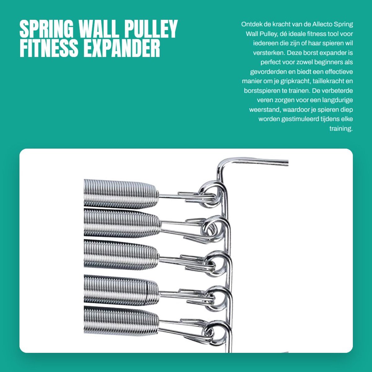 Dailygoods- Borst Expander Verwijderbare Lente - Spierversterking - Fitness Training - Houten Handvat - Krachtige Weerstand - Multifunctioneel - Fitnessband