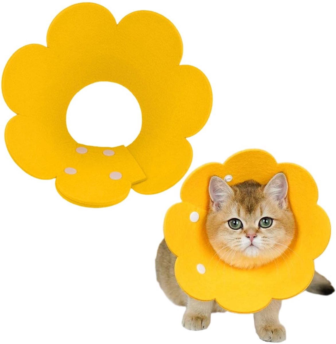Dailygoods- Kattenhalsband Anti-likken - Anti-kras - Anti-bijthalsband - Halsband voor huisdieren - Verstelbaar - Geschikt voor katten/puppy's