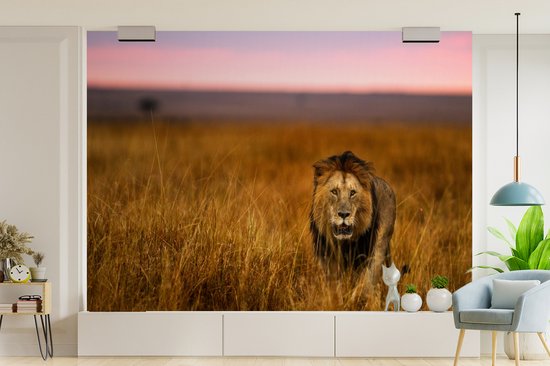 Papier peint - Papier peint photo Papier peint photo - Savane - Herbe - Largeur 415 cm x hauteur 300 cm