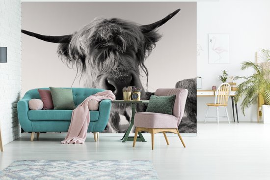 Wit Behang Behang - Fotobehang Schotse Hooglander - Zwart - Wit - Dieren - Breedte ...