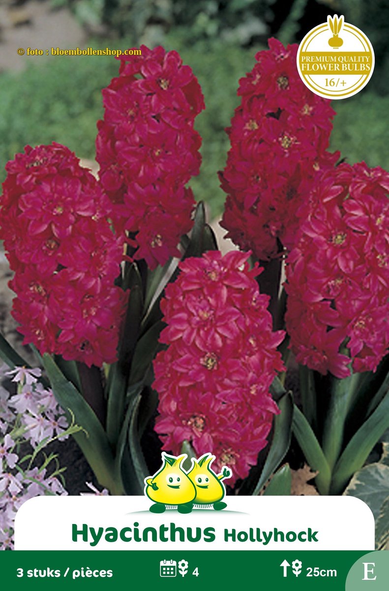 2 Zakjes Hyacinten Hollyhock maat 17/+