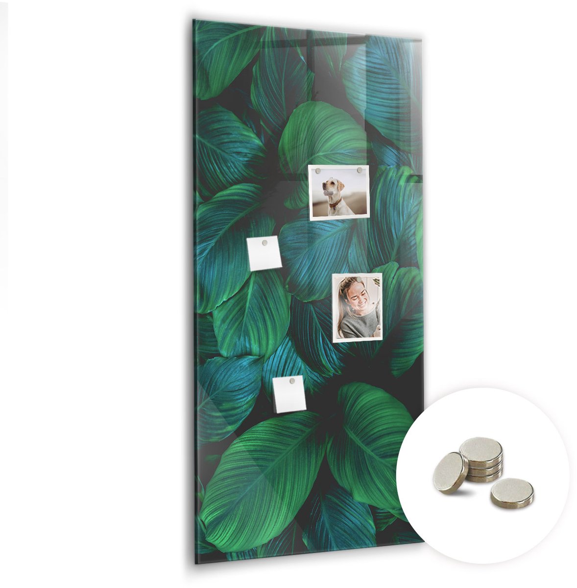 Coloray Glazen Magneetbord - Magnetisch Bord Lijnen landschap natuur - 60x120 cm - Groente Magneetbord - Magnetic Board - Woonkamer Decoratie