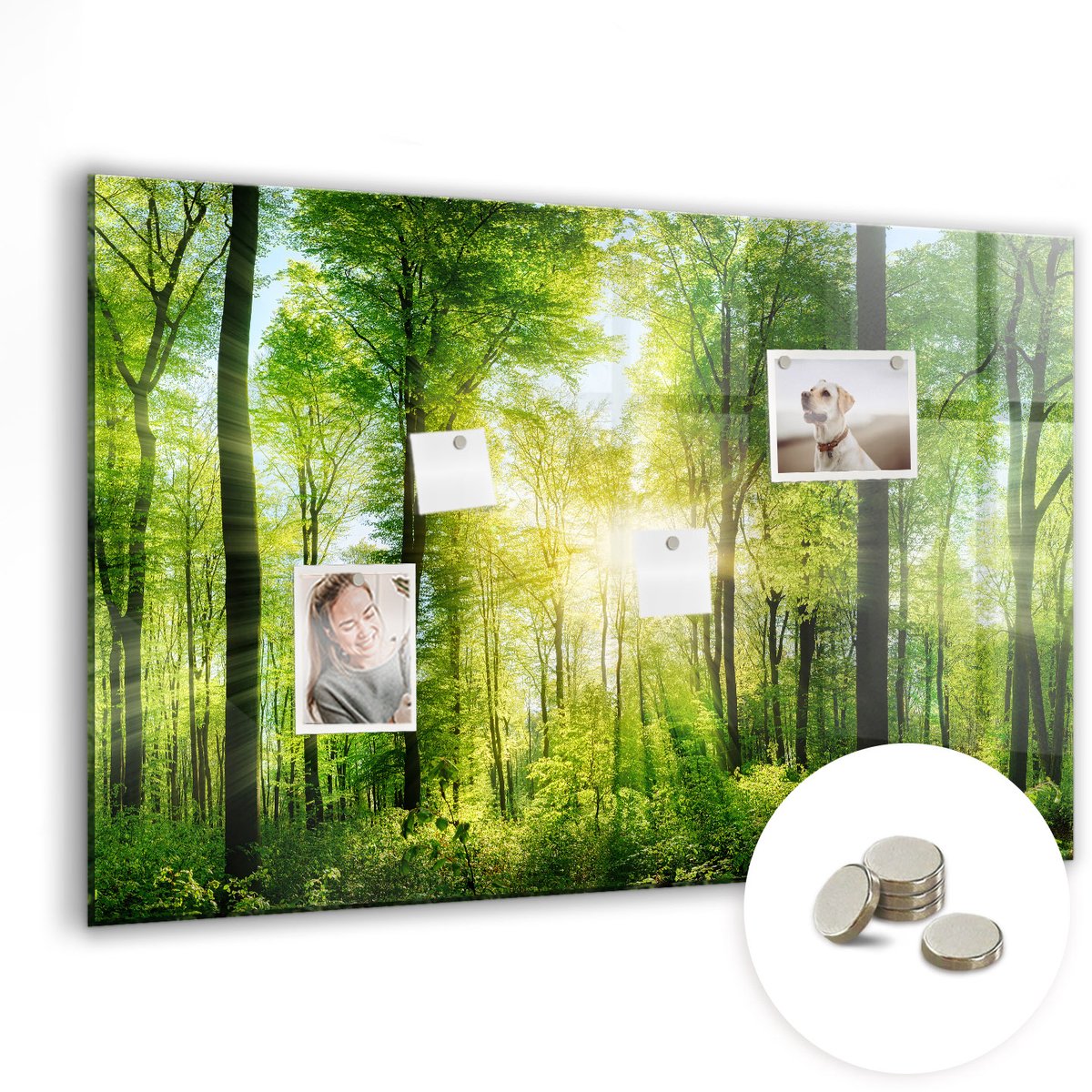 Coloray Glazen Magneetbord - Magnetisch Bord Lepels kruiden - 90x60 cm - Groente Magneetbord - Magnetic Board - Keuken Decoratie