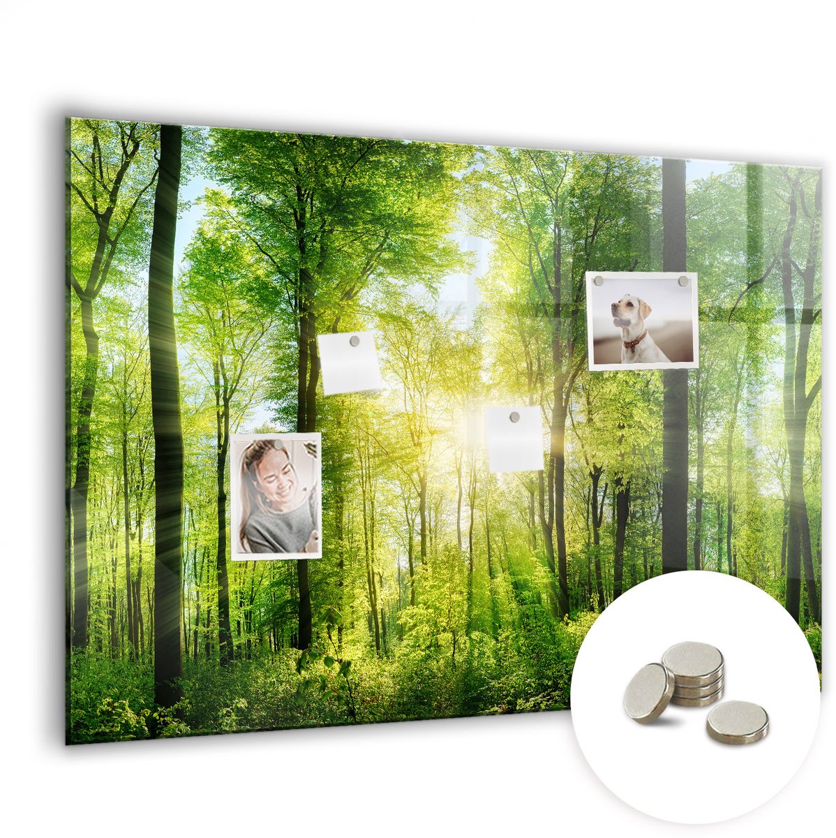 Coloray Glazen Magneetbord - Magnetisch Bord Wereldkaart met gras - 100x70 cm - Groente Magneetbord - Magnetic Board - Magneetbord Design