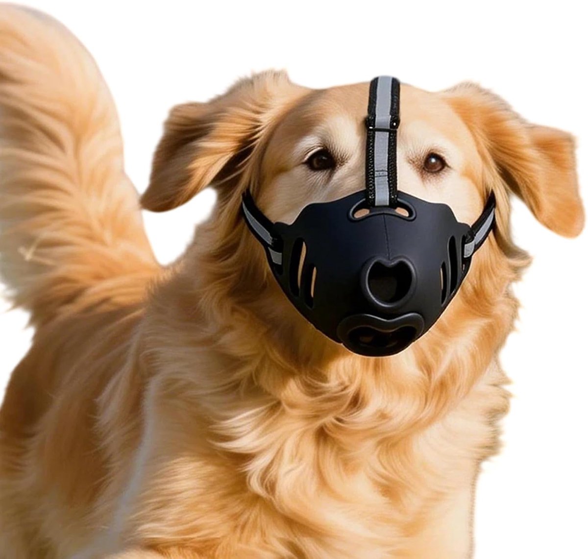 Hondenmuilkorf voor middelgrote honden, ademende siliconen korf met verstelbare reflecterende band, ontwerp met open bek voor drinken en hijgen, comfortabele anti-bijtmuilkorf voor wandelen, trainen, verzorging en dierenartsbezoeken.