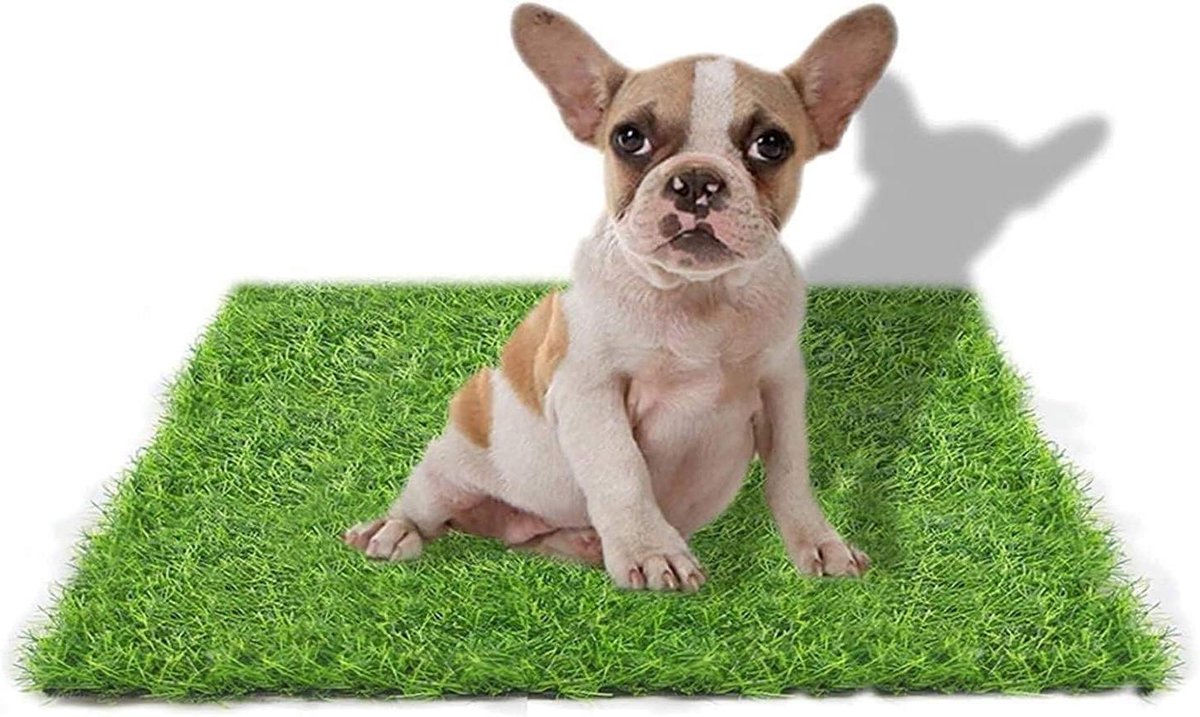 Kunstgras Hondentoilet - Huisdier Trainingsmat - Zindelijkheidstraining Honden - Realistisch Gazon Design - 50 x 60 cm - Groen