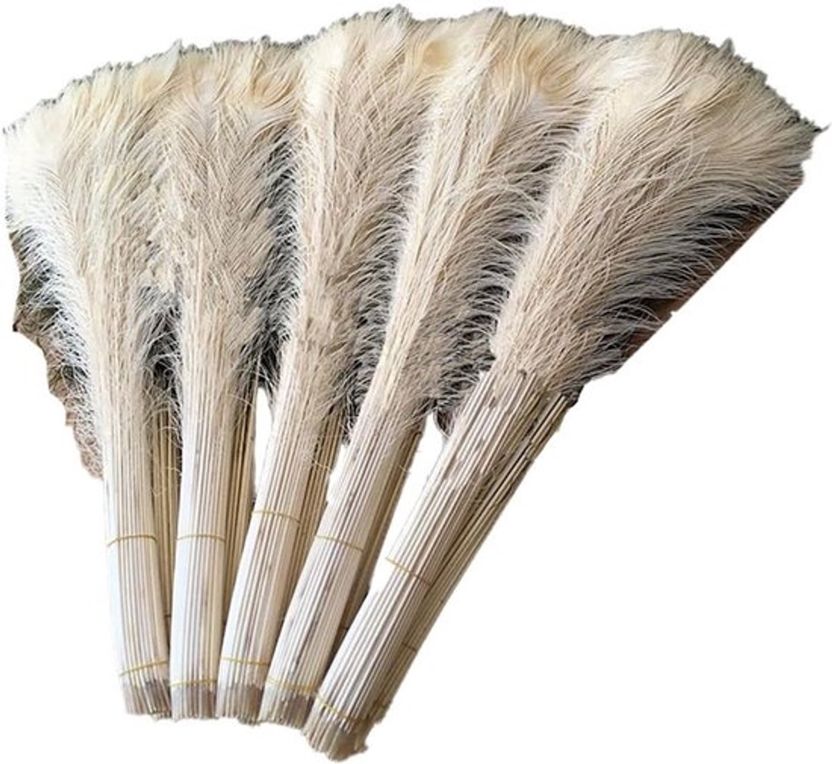 10 Stuks Witte Pauwenveren voor Thuisdecoratie en Feesten, 80-90 cm, Perfect voor Ambachten, Cadeaus en Bruiloften