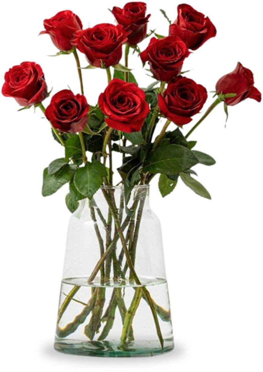 Verse rode rozen - Lengte ± 60 centimeter - Per 10 stuks