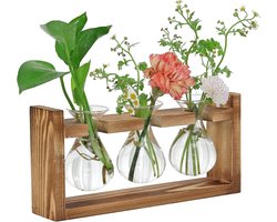 Decoratieve set van 4 stukken voor woonkamer en kantoor met houten standaard, 3 planten en terrarium, ideaal voor interieurstyling en groen in huis