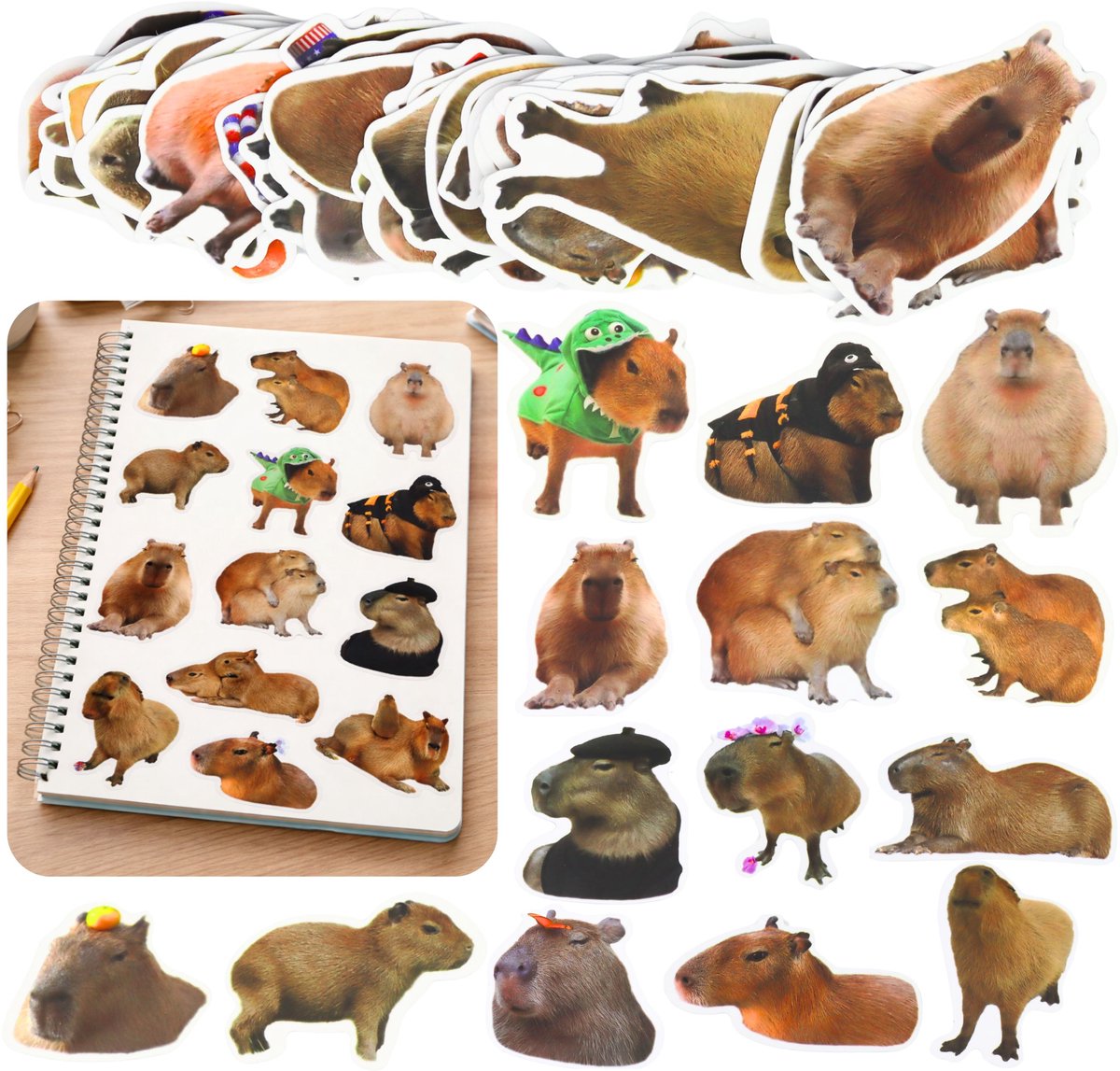 Capibara papieren stickerset echte afbeeldingen 50 stuks.