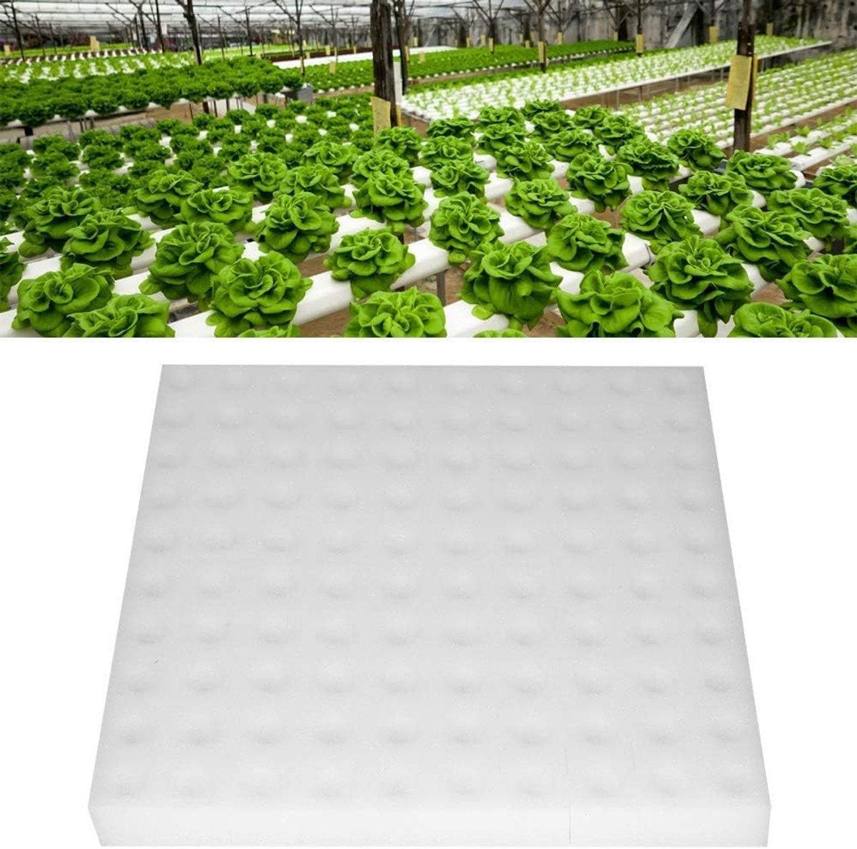SnelShoppen - 100 Stuks Hydroponics Sponsen voor Zaadgroei - Ideaal voor Kleine Buds en Zaailingteelt - Veilig en Duurzaam Tuingereedschap