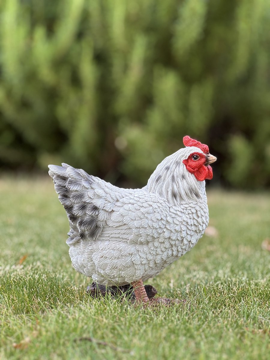 Kip Staand 20 cm hoog Wit Ess - Boerderijdier - Decoratief beeld - Voor buiten - Tuindecoratie - Dierenbeeld - Vogel - Pasen - Schattig - Voor hem - Voor haar - Vaderdag - Moederdag - cadeau - Geschenk - Verjaardag - Nieuwjaar - Kerst
