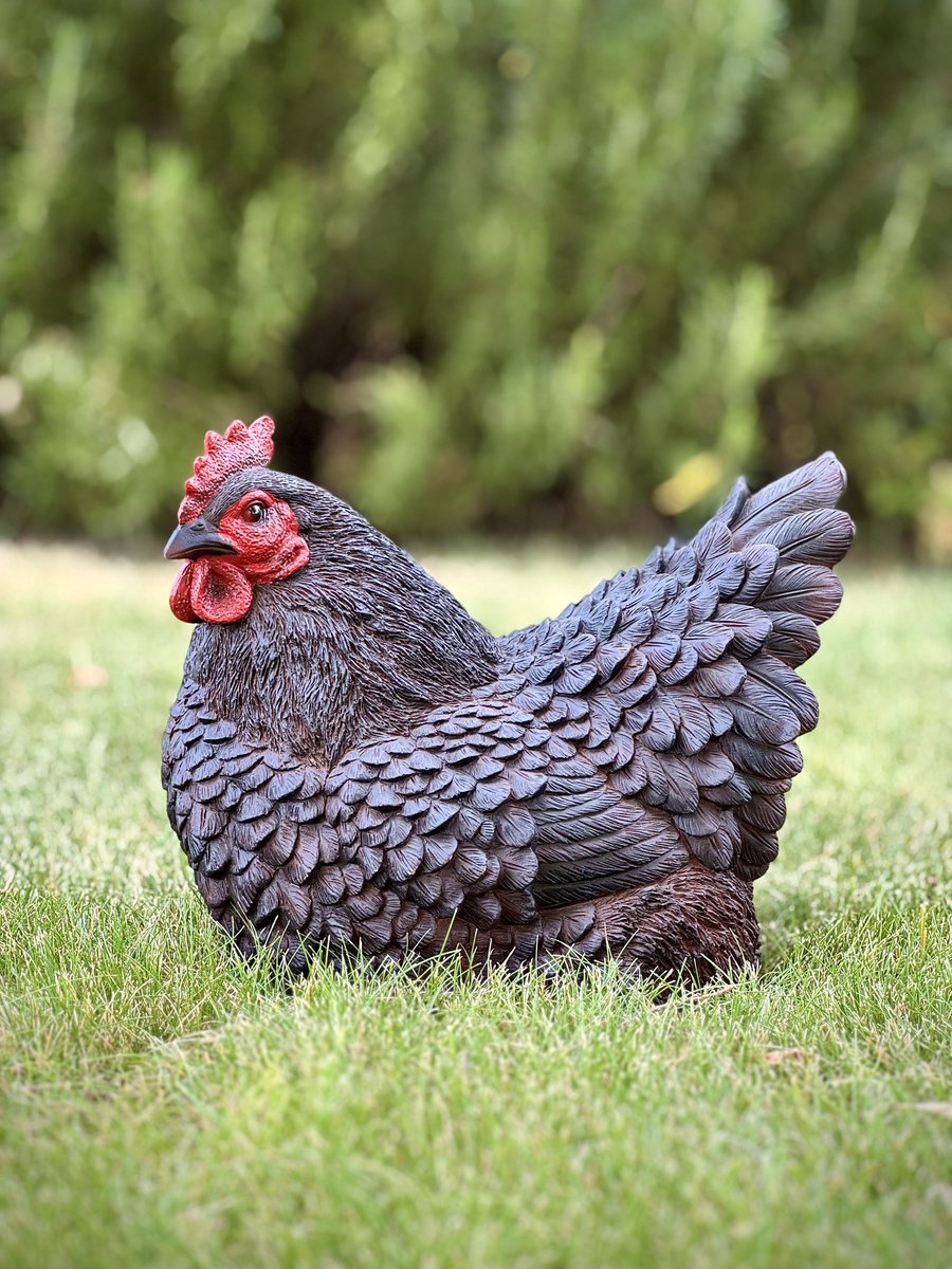 Kip liggend 21 cm hoog zwart Ess - Boerderijdier - Decoratief beeld - Voor buiten - Tuindecoratie - Dierenbeeld - Vogel - Pasen - Schattig - Voor hem - Voor haar - Vaderdag - Moederdag - cadeau - Geschenk - Verjaardag - Nieuwjaar - Kerst