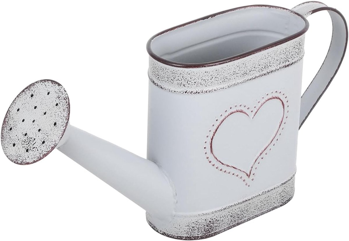SnelShoppen - Vintage Metalen Bloempot en Gieter 25 x 6 x 13 cm, Rustieke Decoratie voor Balkon, Tuin, Binnen en Buiten, Desk