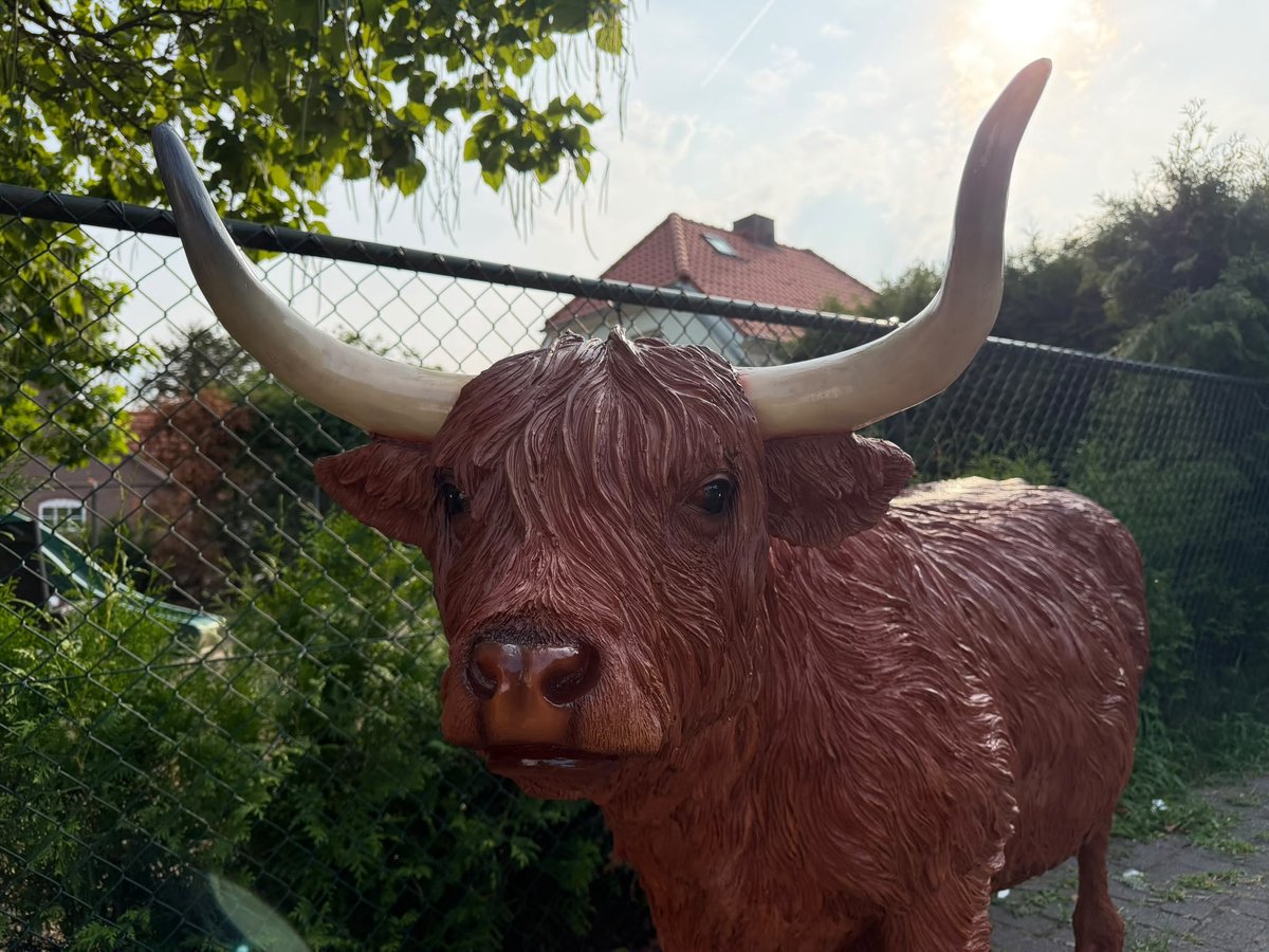 Goodyz- Boerderij dieren - Koe - Hooglander - met Hoorns - staand - 130cm hoog - 180cm lang