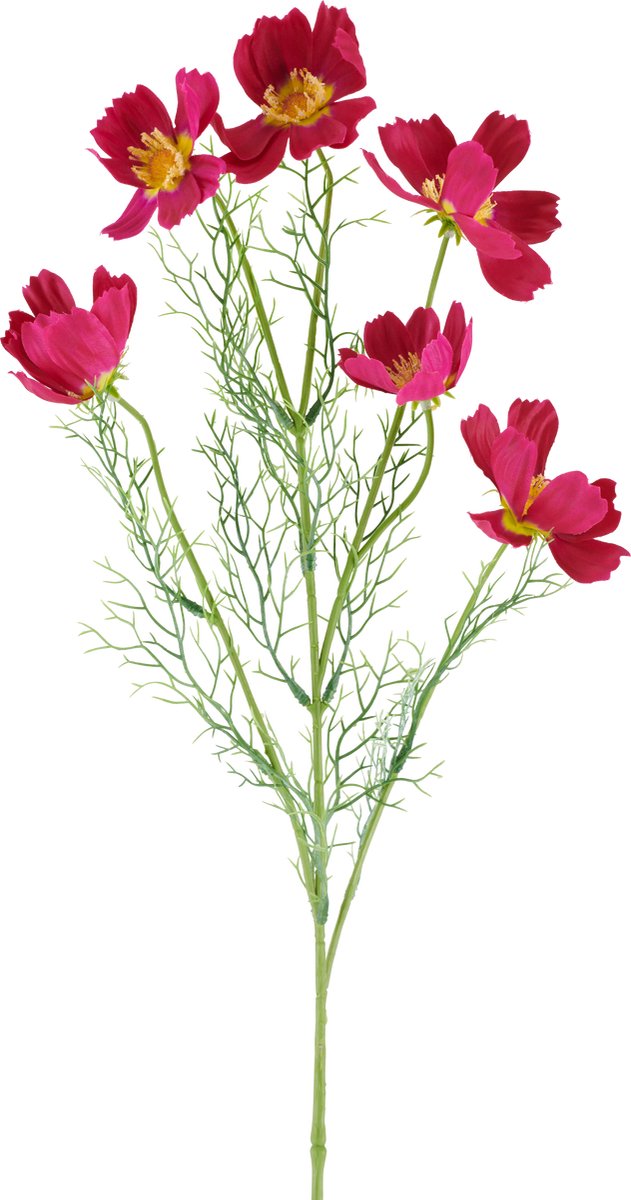 Easyplants | Kunstbloem Cosmo 78 cm fuchsia | Zijde | Nepbloemen | fuchsia | Onderhoudsvrij | Kant-en-klaar