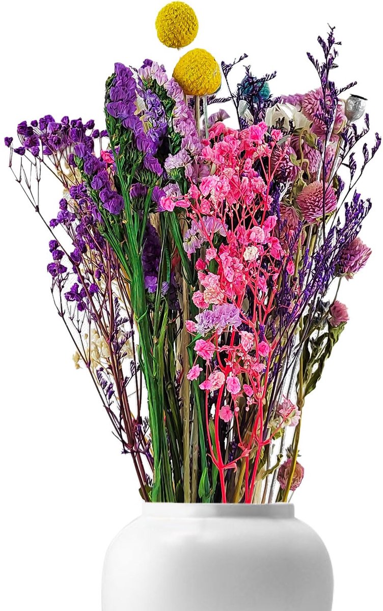Famanu – Set van 39 droogbloemen decoraties, diverse soorten kunstbloemen in rijke kleuren voor huis en feestdecoraties