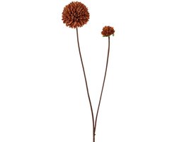 Roberts Collection kunstbloem pompom 66cm decoratie bloem.