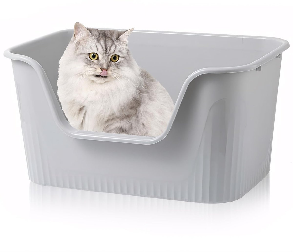 Famanu – Grote kattenbak, afmetingen 64 x 45 x 33 cm, hoge rand zonder deksel, open kattenbakken, spatwaterdichte XXL kattenbak voor grote katten en konijnen Famanu – Grote kattenbak, afmetingen 64 x 45 x 33 cm, hoge rand zonder deksel, open kattenbakken, spatwaterdichte XXL kattenbak voor grote katten en konijnen