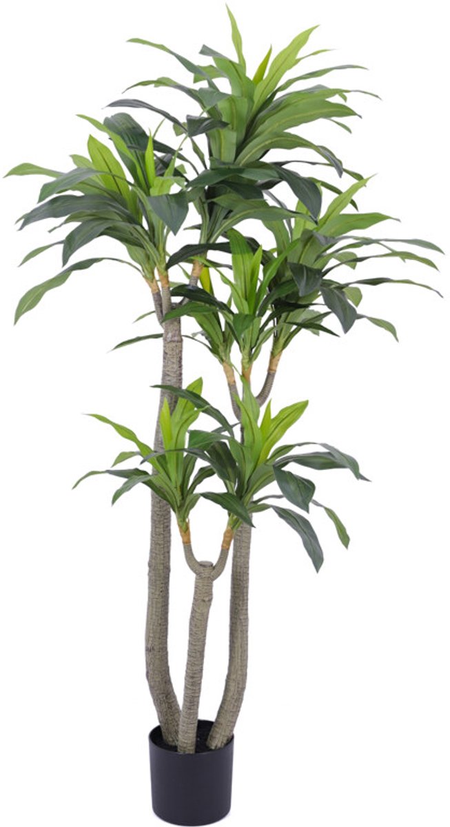 Kunstboom Dracaena real touch 185cm