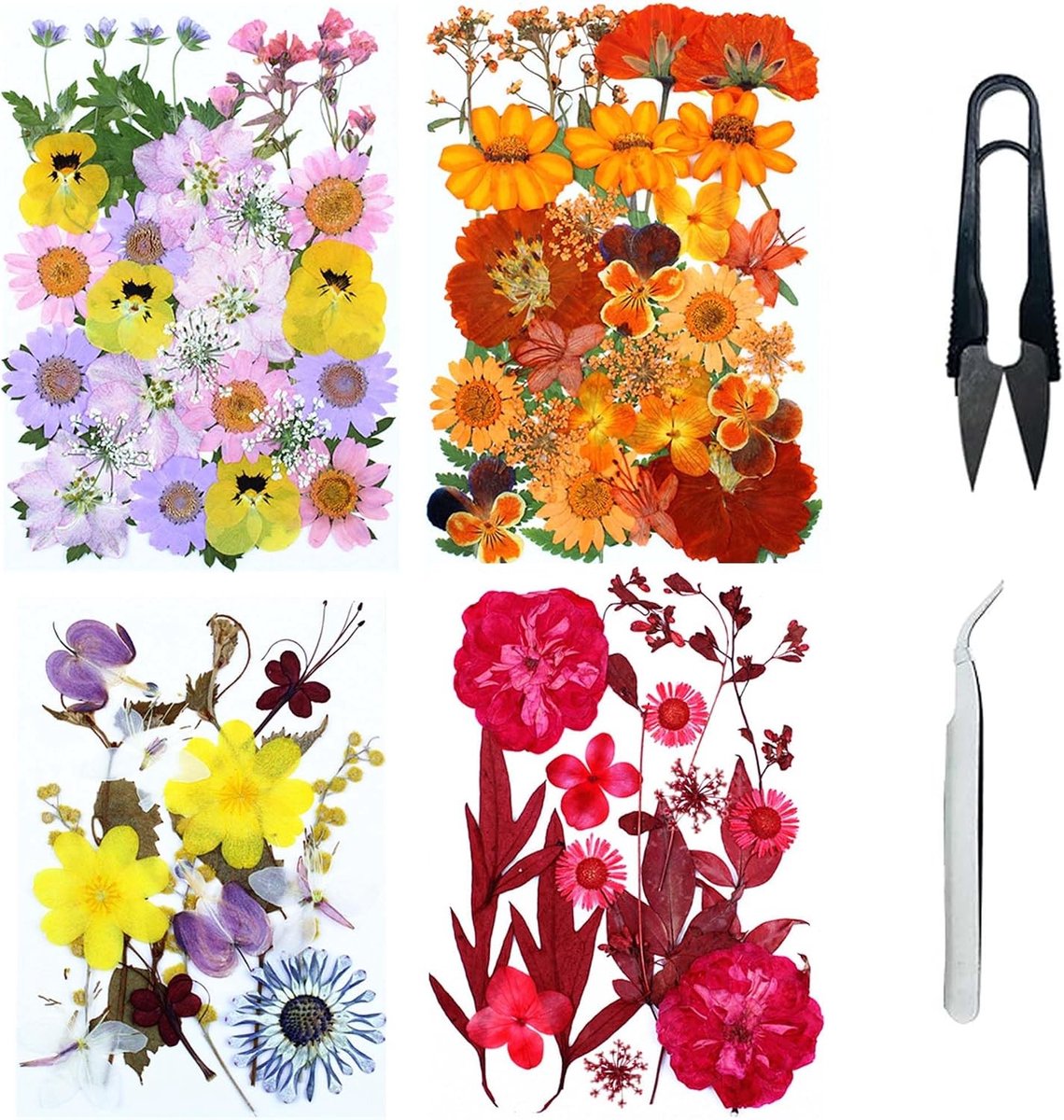 Set van 4 Gedroogde Bloemen voor Natuurlijke Hars, Geperste Bloemen voor DIY Kaarsen en Sieraden, Perfect voor Creatieve Projecten