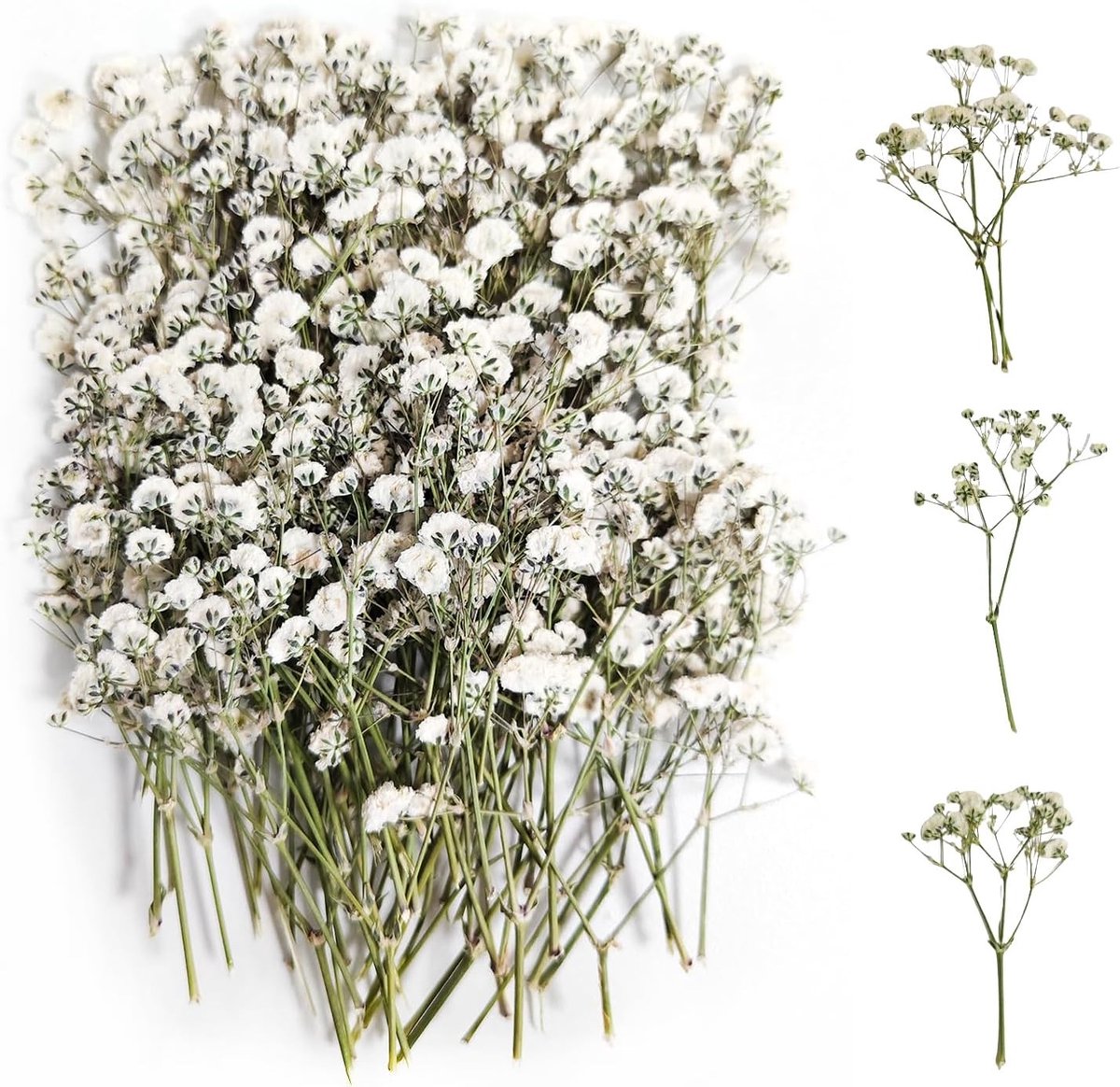 100 Stuks Gedroogde Gypsophila (Wit) Voor Decoraties, Perfecte Gedroogde Bloemen Voor Resin, Ambachten en Bloemstukken
