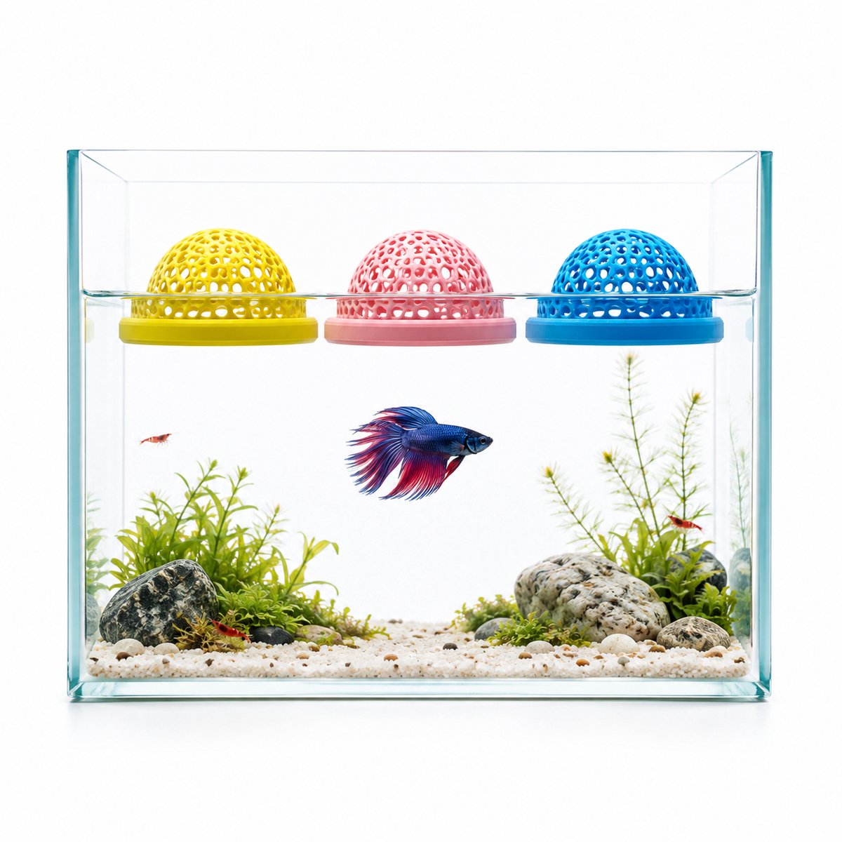 Drijvende Visgrot - Aquarium Schuilplaats voor Betta Vissen en Garnalen - Set van 3 Stuks met Voederring en Zachte Huidvriendelijke Kunststof - Roze, Blauw en Geel