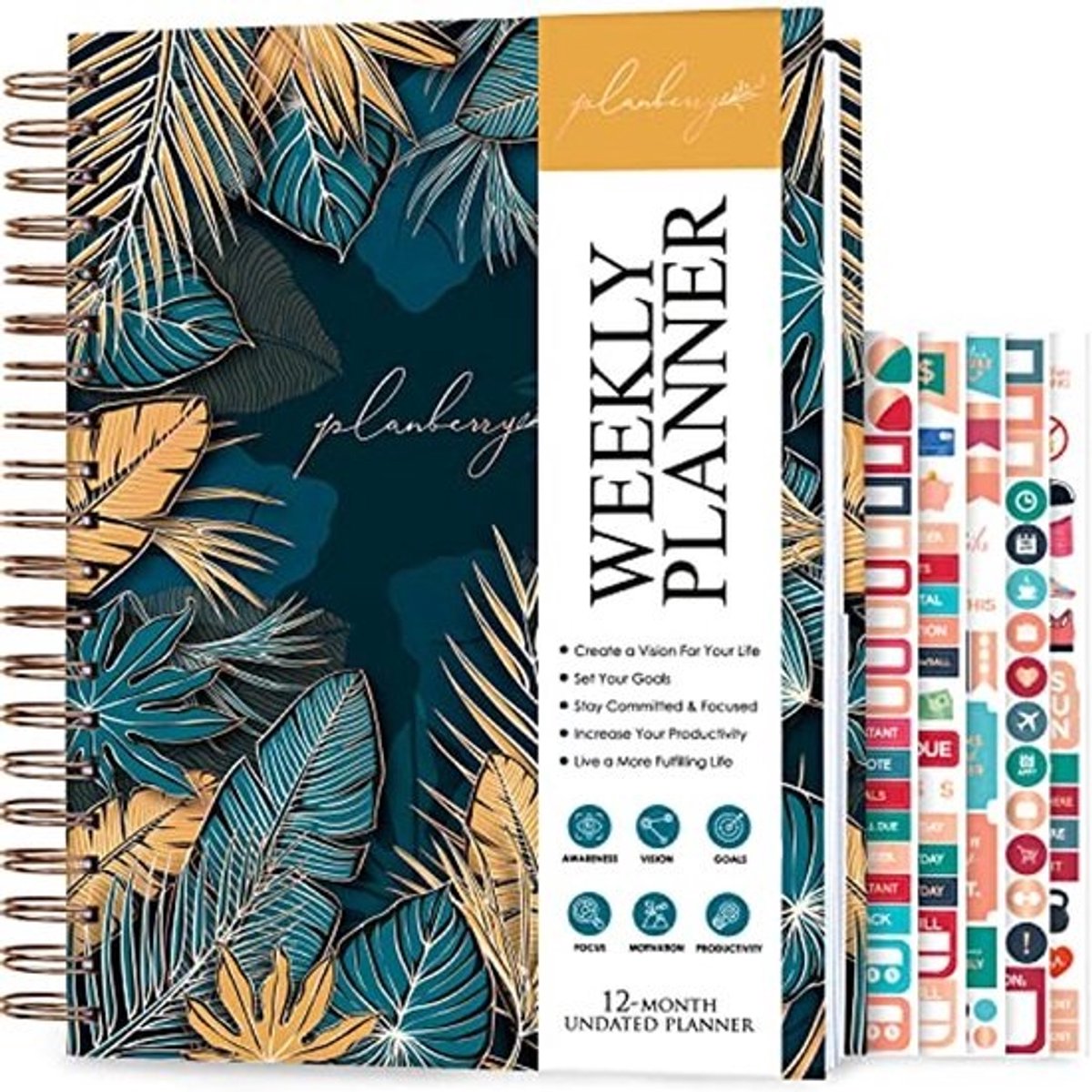 Grote wekelijkse planner - Elegante levens- en budgetplanner voor doelen en productiviteit - 8 x 10,4 inch hardcover, ongedateerd