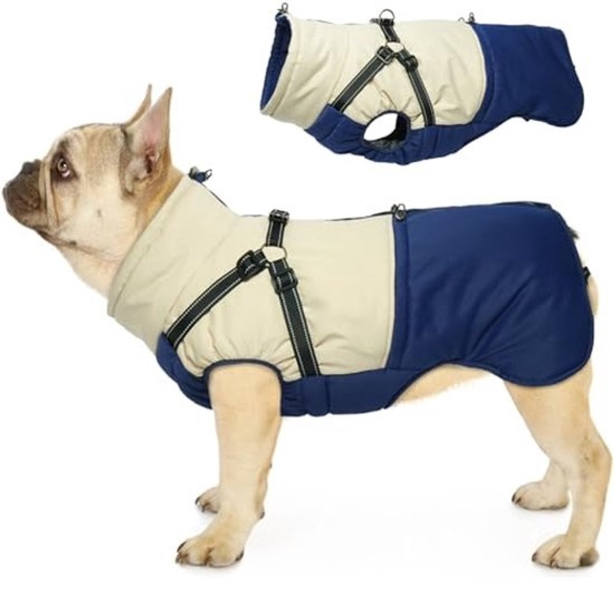 Winter hondenjas voor kleine honden met harnas - waterdichte en warme gevoerde hondenjas
