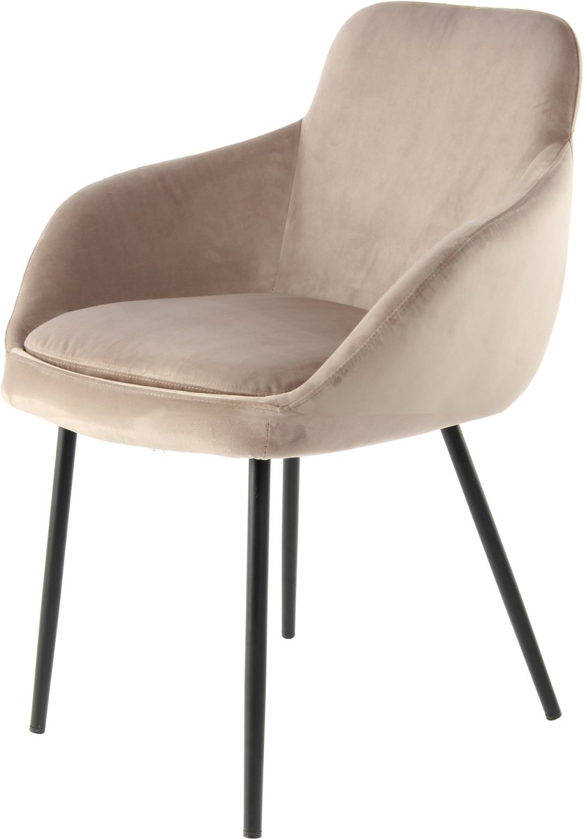 Padiro eetkamerstoelen set van 2 - taupe - polyester - met armleuningen - ijzeren onderstel - japandi