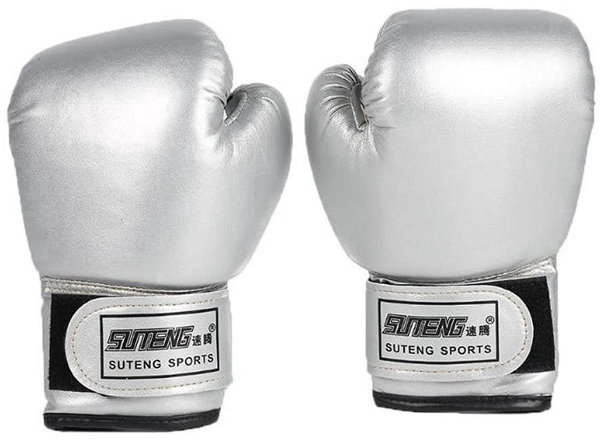 Bokshandschoenen - Kickboks Handschoenen - Boxing Gloves Set Vecht Handschoenen - Heren - Dames - Kind - Zilver