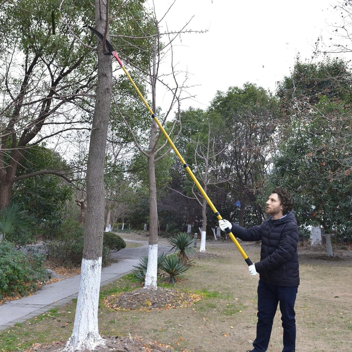 Telescopische Boom Snoeischaar met 5,5 Meter Lange Steel en 60 cm Zaagblad voor het Snoeien en Verwijderen van Takken en Bladeren