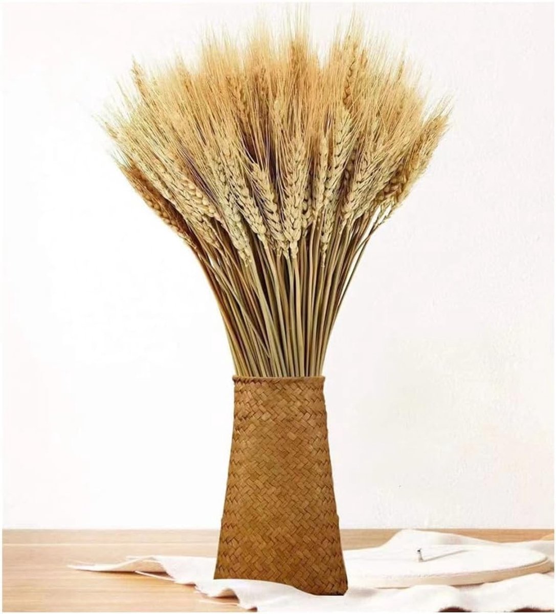 100 Stelen Gedroogde Tarwe Tips, Natuurlijke Decoratieve Bloemen voor Hu decoration, Gastcadeaus en Bruiloften, 40 cm