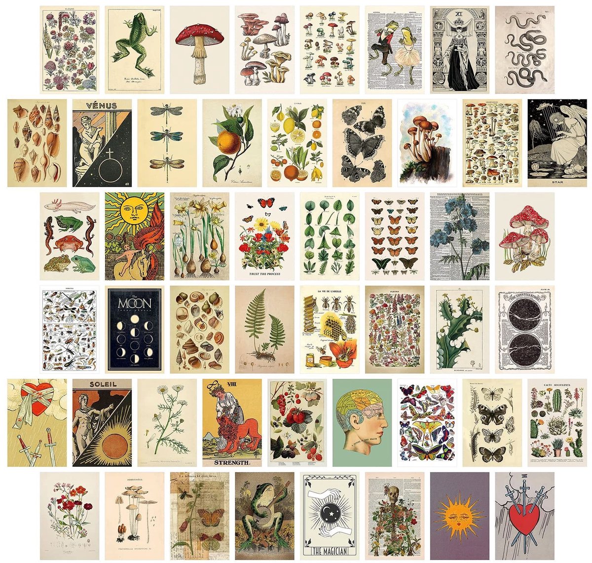 Elzusha- Ansichtkaarten set van 50 stuks - Motivatiekaarten - Landschappen - Levensmomenten - Vintage feeling - Dubbelzijdige kaarten in doos - Wenskaarten