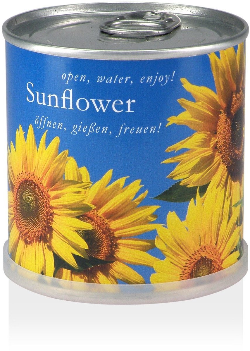 Solidchoice - Zonnebloem in Doosje - Groei je Eigen Bloem