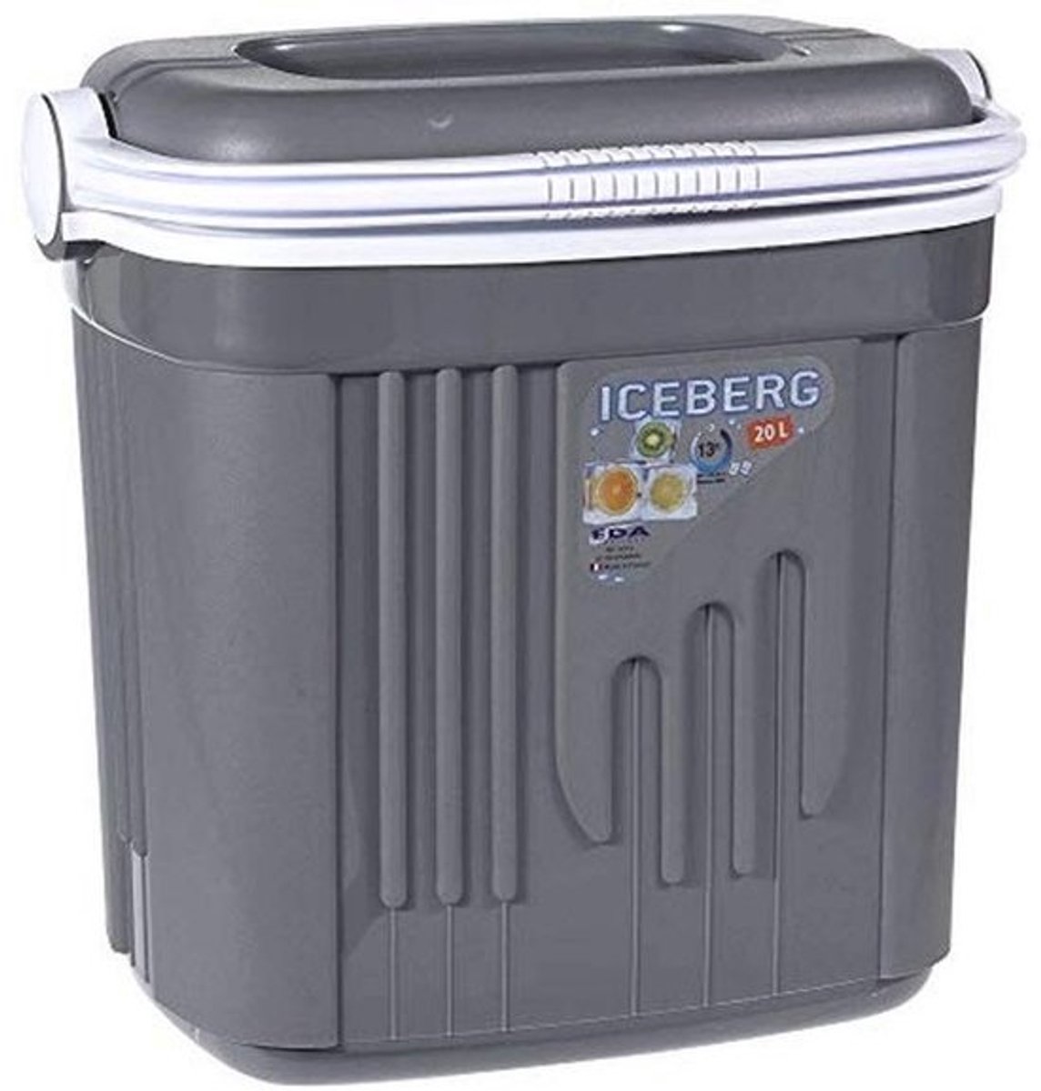 Koelbox 2-in-1: Opbergbak en Cooler Bag voor Koeling