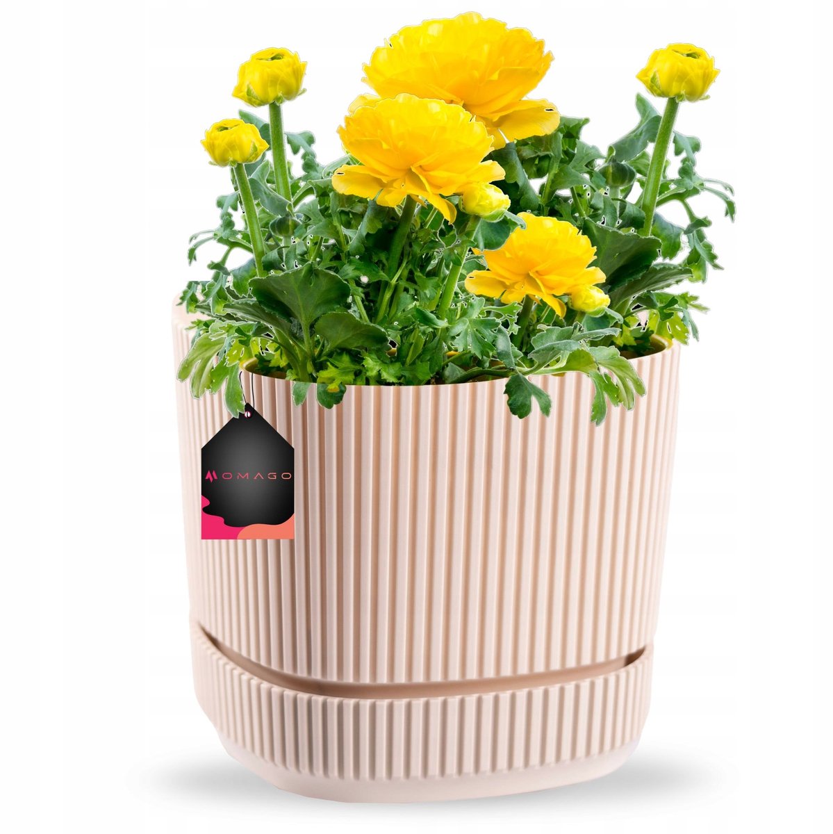 Moderne Beige Plantenbak met Schotel voor Balkon en Vensterbank