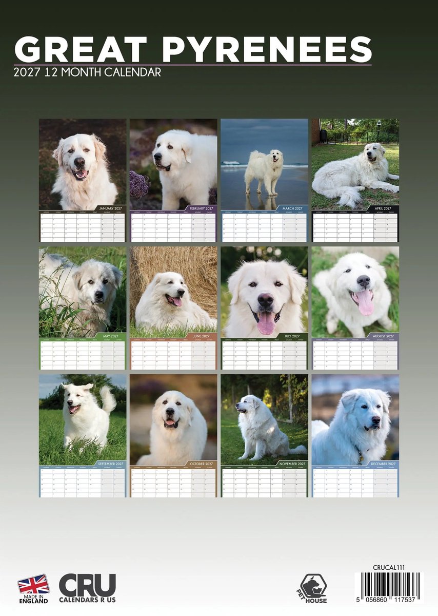 Pyreneese Berghond A3 Kalender 2027